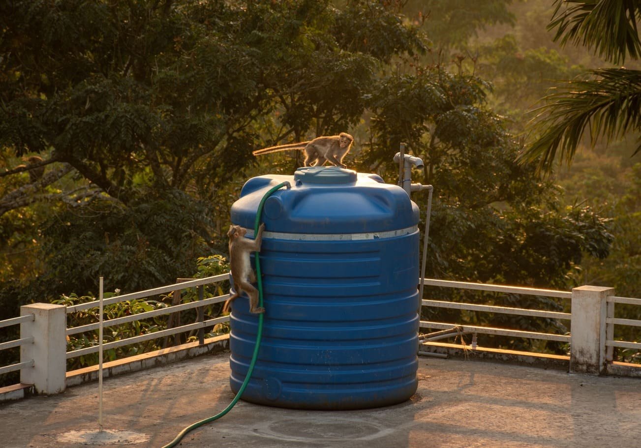 Water Tank Cleaning